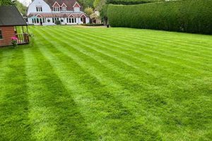 Explore Simmons Garden: A Serene Escape The Ultimate Gardening Guide: Grow a Thriving Garden Year-Round Explore Simmons Garden: A Serene Escape | The Ultimate Gardening Guide: Grow a Thriving Garden Year-Round