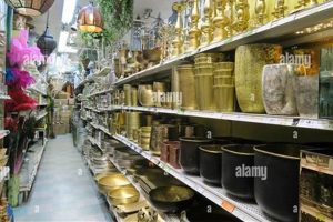 Elevate Your Garden: Jamali Floral & Garden Supplies! | The Ultimate Gardening Guide: Grow a Thriving Garden Year-Round