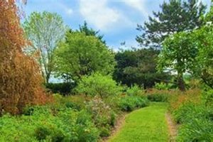 Create a Birdsong Pleasure Garden: Design & Enjoy! | The Ultimate Gardening Guide: Grow a Thriving Garden Year-Round