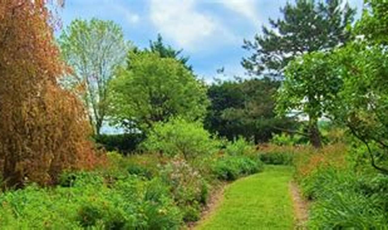 Create a Birdsong Pleasure Garden: Design & Enjoy! | The Ultimate Gardening Guide: Grow a Thriving Garden Year-Round