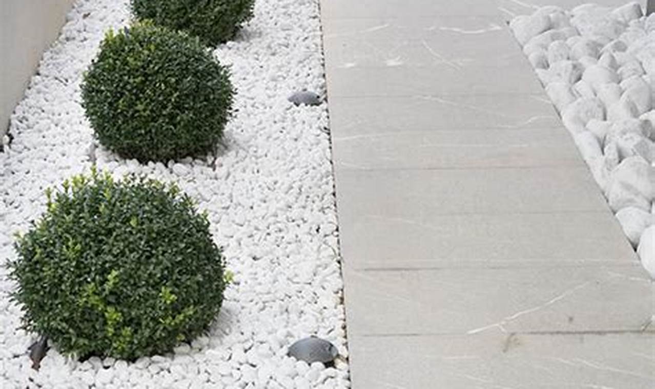 Enhance Garden with White Stones: Ideas &amp; Designs | The Ultimate Gardening Guide: Grow a Thriving Garden Year-Round