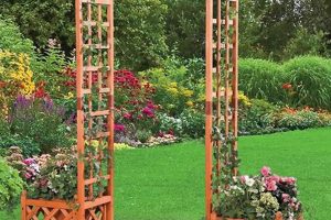 Best Garden Wood Trellis Ideas: Designs & Support | The Ultimate Gardening Guide: Grow a Thriving Garden Year-Round