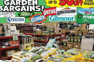 Budget Garden Bargains: Grow More, Spend Less! | The Ultimate Gardening Guide: Grow a Thriving Garden Year-Round