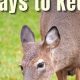 Stop Deer! How to Keep Deer Out of Garden at Night - Tips | The Ultimate Gardening Guide: Grow a Thriving Garden Year-Round