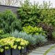 Seasonal Garden Trends | The Ultimate Gardening Guide: Grow a Thriving Garden Year-Round