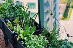 Grow Your Own: Balcony Herb Garden Basics | The Ultimate Gardening Guide: Grow a Thriving Garden Year-Round
