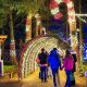 Shine: Oregon Garden Christmas Lights & Festive Fun! | The Ultimate Gardening Guide: Grow a Thriving Garden Year-Round