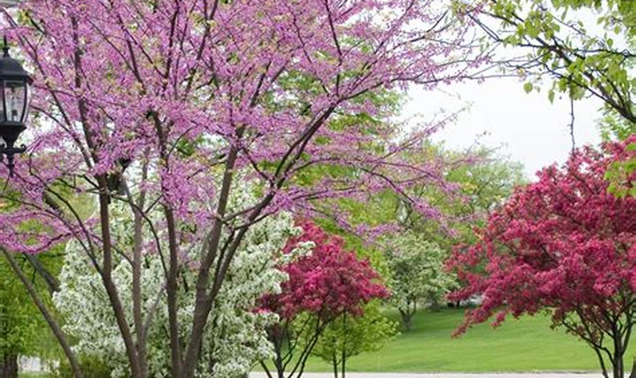 Best Front Garden Small Trees: Curb Appeal & Beauty | The Ultimate Gardening Guide: Grow a Thriving Garden Year-Round