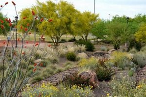 Scottsdale Xeriscape Garden: A Desert Oasis Design | The Ultimate Gardening Guide: Grow a Thriving Garden Year-Round