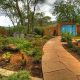 Grow Your Own Southwest Garden Oasis - [Year] | The Ultimate Gardening Guide: Grow a Thriving Garden Year-Round