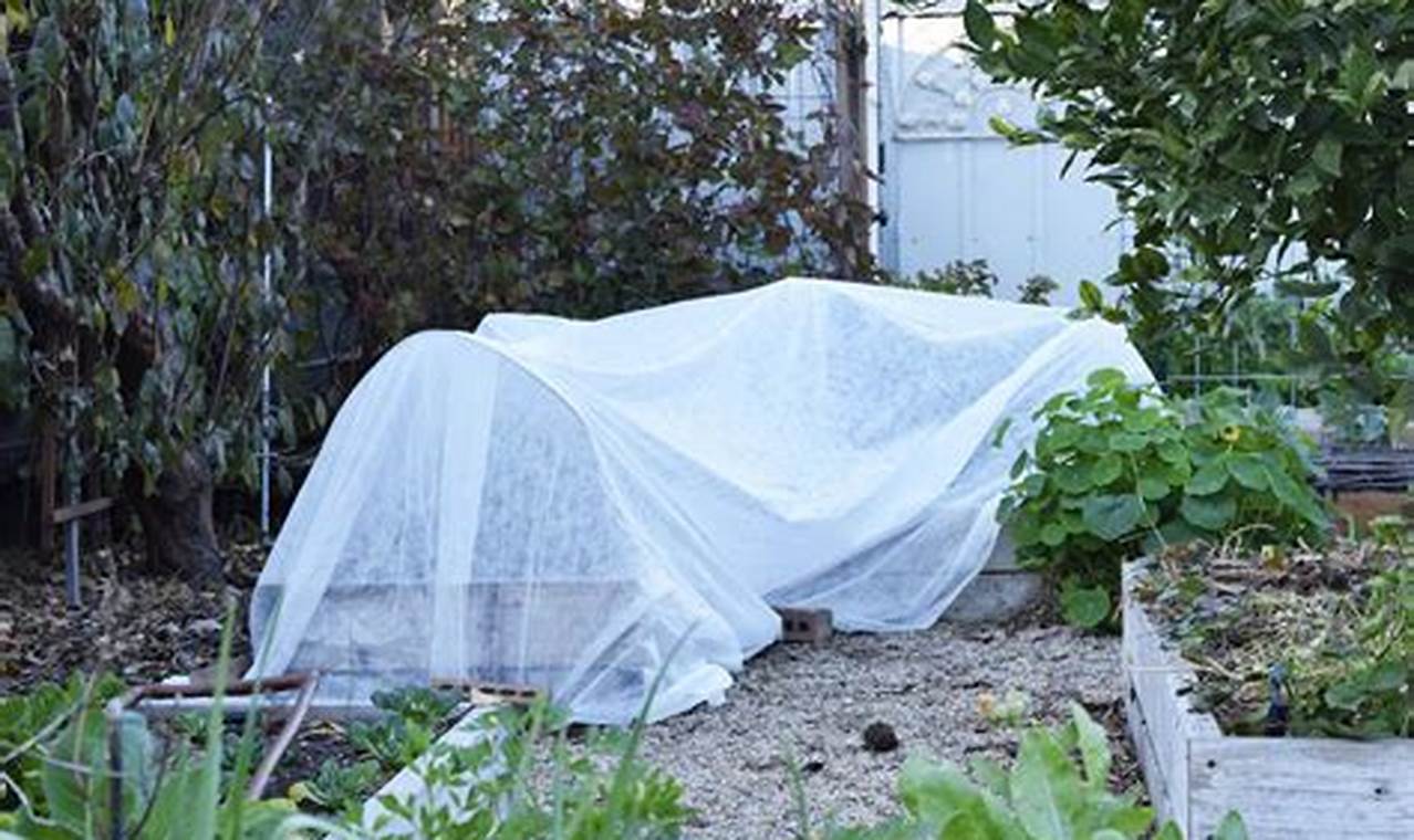Protect Your Plants: Garden Cloth Cover Solutions | The Ultimate Gardening Guide: Grow a Thriving Garden Year-Round