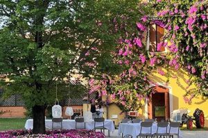 Escape to La Filanda: Agriturismo in Manerba del Garda, Italy | The Ultimate Gardening Guide: Grow a Thriving Garden Year-Round