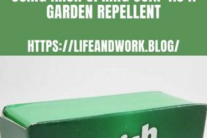 Does Irish Spring Soap in Garden Work? + Tips! The Ultimate Gardening Guide: Grow a Thriving Garden Year-Round Does Irish Spring Soap in Garden Work? + Tips! | The Ultimate Gardening Guide: Grow a Thriving Garden Year-Round