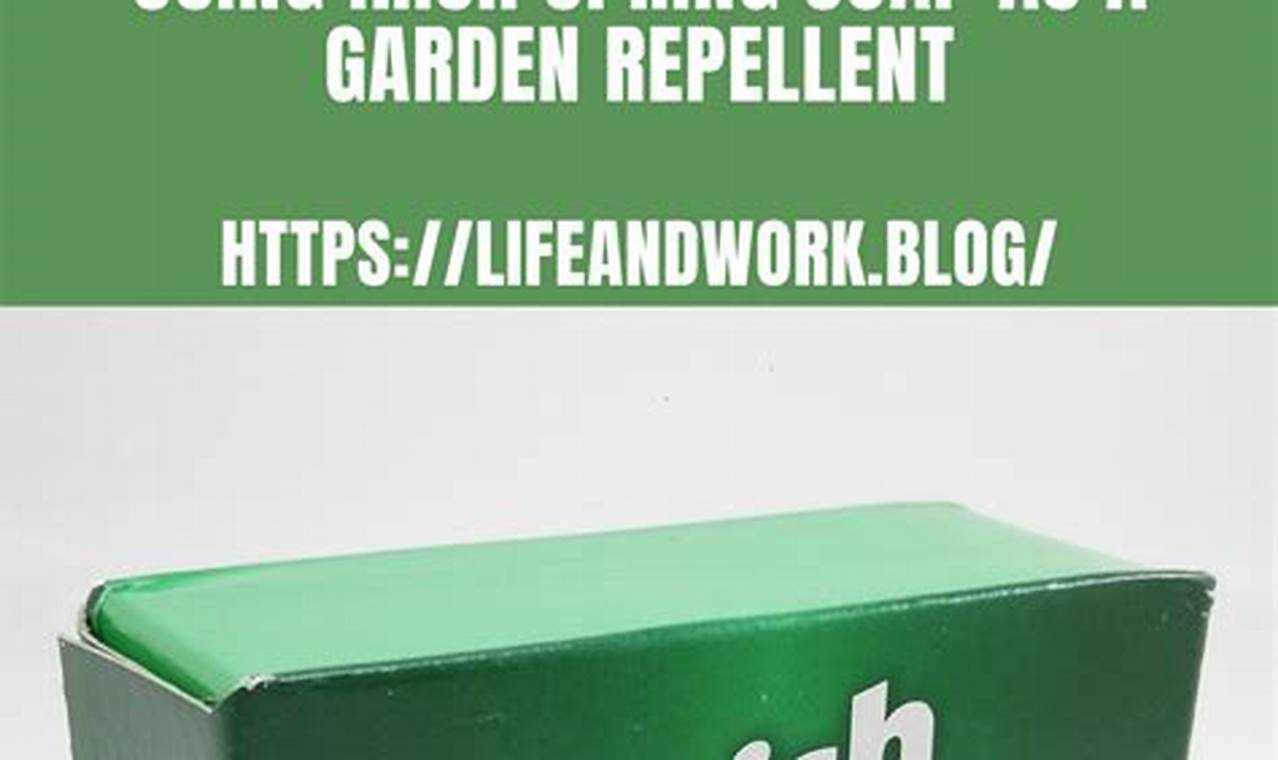 Does Irish Spring Soap in Garden Work? + Tips! | The Ultimate Gardening Guide: Grow a Thriving Garden Year-Round