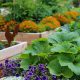 Grow Better: Best Flowers for Vegetable Garden Bliss | The Ultimate Gardening Guide: Grow a Thriving Garden Year-Round