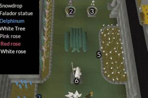 OSRS Garden of Tranquility: Your Prayer Haven Guide | The Ultimate Gardening Guide: Grow a Thriving Garden Year-Round
