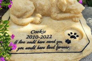 Cherished Pet Remembrance Garden Stones: A Garden Memorial | The Ultimate Gardening Guide: Grow a Thriving Garden Year-Round