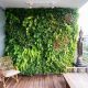 Grow Your Own: Green Wall Vertical Garden Ideas! | The Ultimate Gardening Guide: Grow a Thriving Garden Year-Round