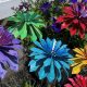Durable Metal Garden Flowers: Art for Your Garden | The Ultimate Gardening Guide: Grow a Thriving Garden Year-Round