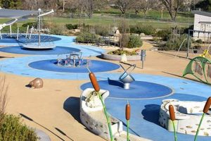 San Jose Rotary Play Garden: Fun & Safe! | The Ultimate Gardening Guide: Grow a Thriving Garden Year-Round