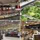 Your Guide: Lowe's Foods on New Garden Road Near You! | The Ultimate Gardening Guide: Grow a Thriving Garden Year-Round