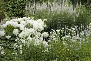 Night Bloom: Best Moon Garden Plants for a Magical Garden | The Ultimate Gardening Guide: Grow a Thriving Garden Year-Round