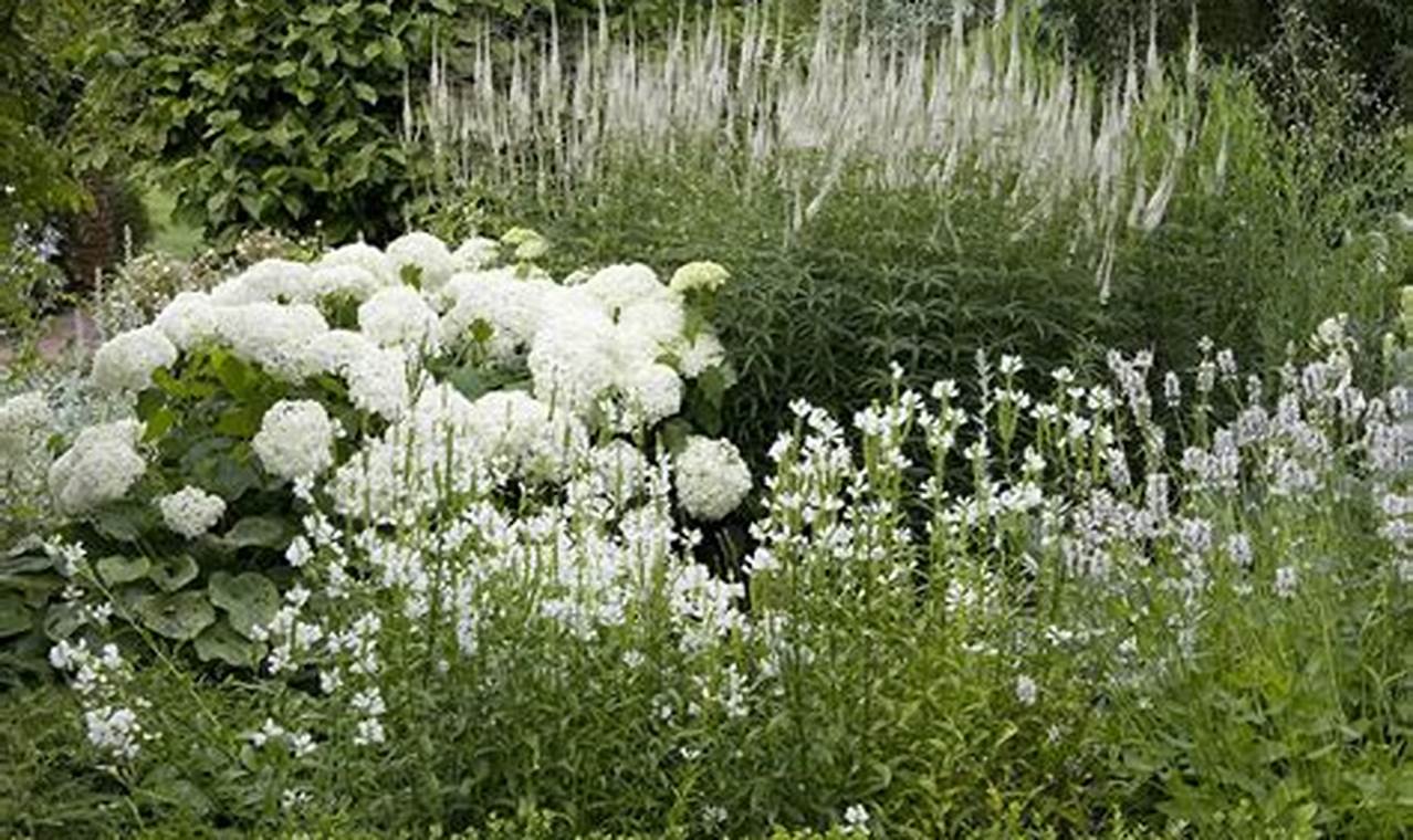 Night Bloom: Best Moon Garden Plants for a Magical Garden | The Ultimate Gardening Guide: Grow a Thriving Garden Year-Round