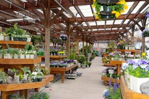 Nielsen's Florist: Your Garden Shop for Every Occasion | The Ultimate Gardening Guide: Grow a Thriving Garden Year-Round