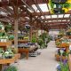 Nielsen's Florist: Your Garden Shop for Every Occasion | The Ultimate Gardening Guide: Grow a Thriving Garden Year-Round