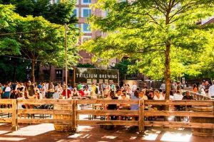 Explore the Trillium Garden on the Greenway: A Nature's Oasis | The Ultimate Gardening Guide: Grow a Thriving Garden Year-Round