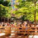 Explore the Trillium Garden on the Greenway: A Nature's Oasis | The Ultimate Gardening Guide: Grow a Thriving Garden Year-Round