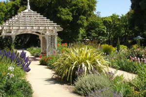Visit Elizabeth Gamble Garden: A Serene Garden Oasis The Ultimate Gardening Guide: Grow a Thriving Garden Year-Round Visit Elizabeth Gamble Garden: A Serene Garden Oasis | The Ultimate Gardening Guide: Grow a Thriving Garden Year-Round