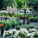 Your Ocala, FL Garden Nursery: Plants &amp; More | The Ultimate Gardening Guide: Grow a Thriving Garden Year-Round
