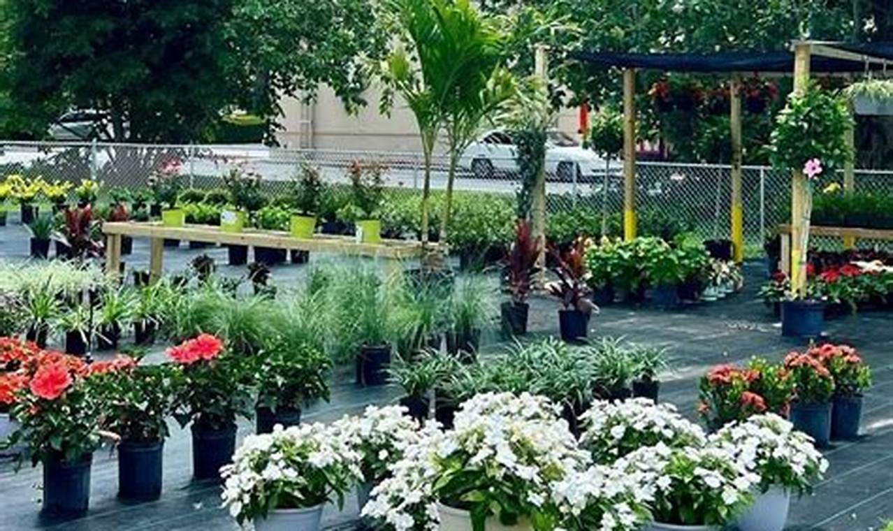 Your Ocala, FL Garden Nursery: Plants & More The Ultimate Gardening Guide: Grow a Thriving Garden Year-Round Your Ocala, FL Garden Nursery: Plants & More | The Ultimate Gardening Guide: Grow a Thriving Garden Year-Round