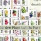 Best Garden Tags for Plants: Labels & More! | The Ultimate Gardening Guide: Grow a Thriving Garden Year-Round