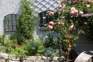 Discover Bavaria Garden Ideas: Your Bavarian Oasis! | The Ultimate Gardening Guide: Grow a Thriving Garden Year-Round