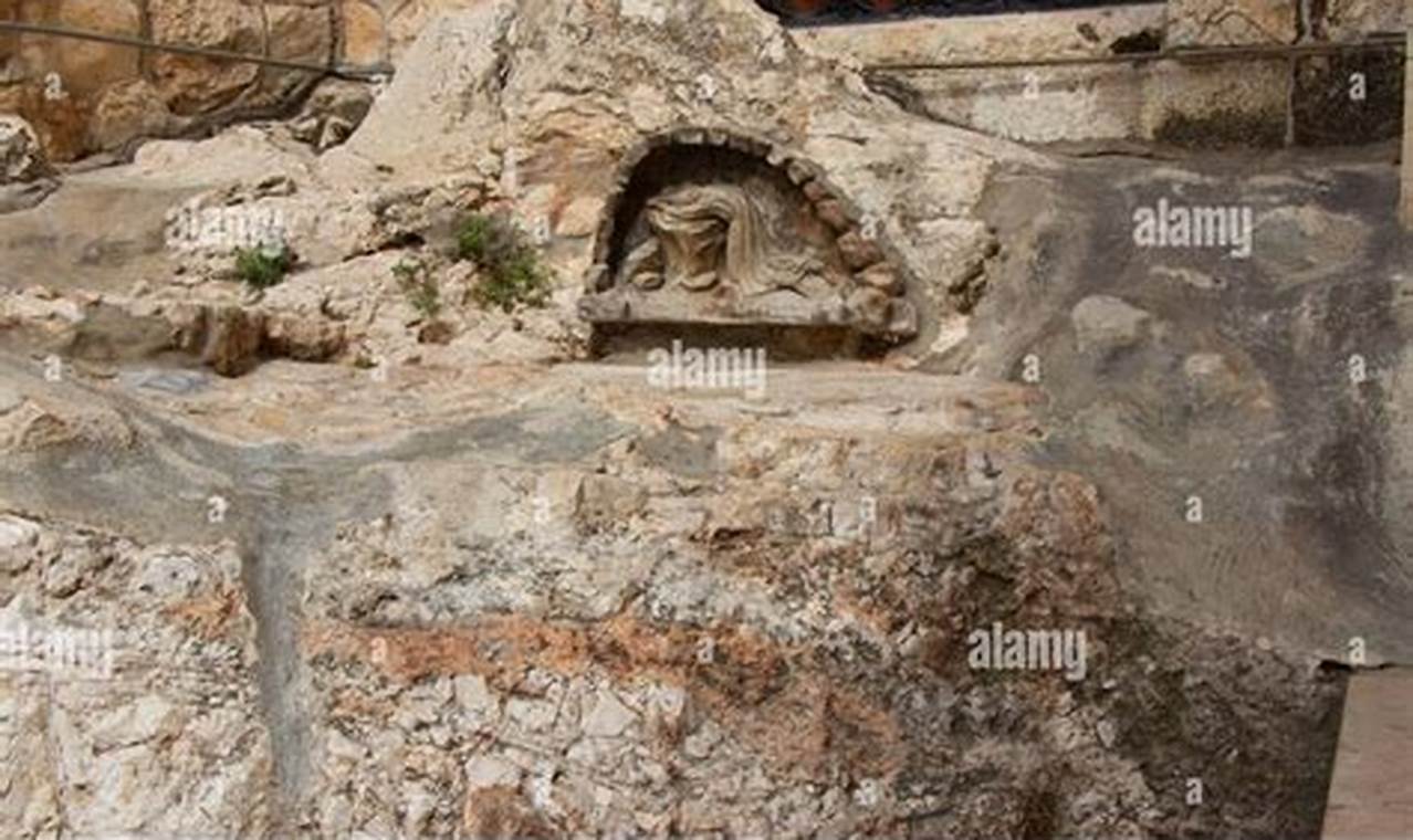 Discover Your Holy Garden Oasis: Design & Tips | The Ultimate Gardening Guide: Grow a Thriving Garden Year-Round