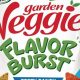 Grow Your Veggie Chips Garden: A Healthy Snack! | The Ultimate Gardening Guide: Grow a Thriving Garden Year-Round