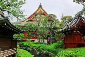 Zen Escape: The Oriental Garden Design & Tips | The Ultimate Gardening Guide: Grow a Thriving Garden Year-Round