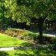 Find Your Rose Garden Senior Apartments: Comfort &amp; Care | The Ultimate Gardening Guide: Grow a Thriving Garden Year-Round
