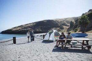 Your Garden Point Campground: Nature Escape Near You | The Ultimate Gardening Guide: Grow a Thriving Garden Year-Round