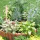 Easy Container Herb Garden: Grow Your Own! | The Ultimate Gardening Guide: Grow a Thriving Garden Year-Round