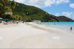 Visit Cane Garden Bay, British Virgin Islands: A Paradise The Ultimate Gardening Guide: Grow a Thriving Garden Year-Round Visit Cane Garden Bay, British Virgin Islands: A Paradise | The Ultimate Gardening Guide: Grow a Thriving Garden Year-Round