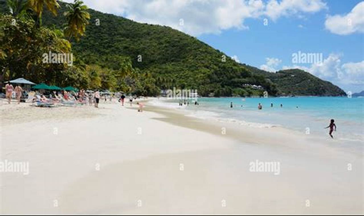 Visit Cane Garden Bay, British Virgin Islands: A Paradise | The Ultimate Gardening Guide: Grow a Thriving Garden Year-Round