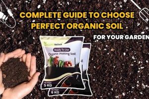 Grow Your Own: The Ultimate Organic Soil Garden Guide | The Ultimate Gardening Guide: Grow a Thriving Garden Year-Round
