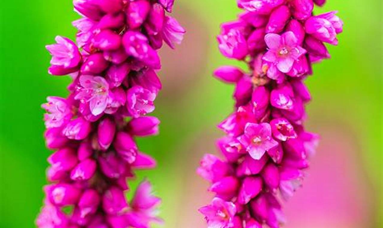 Garden Romance: Kiss Me Over the Garden Gate Charm | The Ultimate Gardening Guide: Grow a Thriving Garden Year-Round