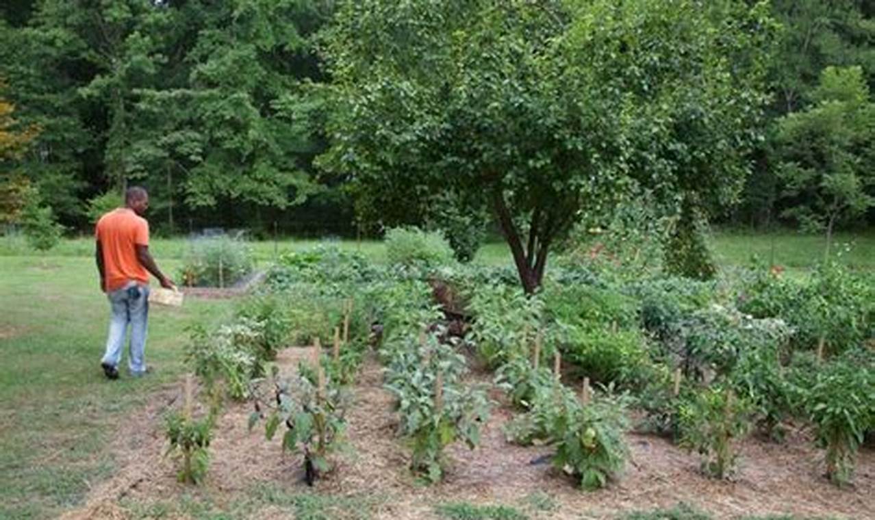 Grow Your Best: In Ground Garden Guide Tips & More | The Ultimate Gardening Guide: Grow a Thriving Garden Year-Round