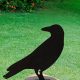 Shop Raven Garden Stakes: Gothic Garden Decor | The Ultimate Gardening Guide: Grow a Thriving Garden Year-Round