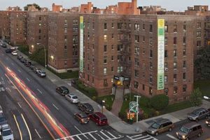 Best Garden: Number One Garden Brooklyn NY Guide | The Ultimate Gardening Guide: Grow a Thriving Garden Year-Round