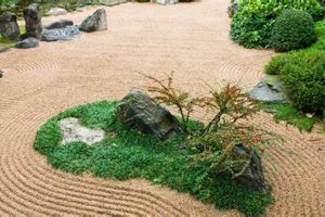 Serene Designs: Zen Garden Sand for Your Tranquil Space The Ultimate Gardening Guide: Grow a Thriving Garden Year-Round Serene Designs: Zen Garden Sand for Your Tranquil Space | The Ultimate Gardening Guide: Grow a Thriving Garden Year-Round